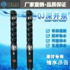高揚(yáng)程井用抽水泵農(nóng)田灌溉清水泵380V大功率多級(jí)葉輪深井