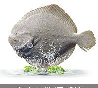 水產品溯源 (1)