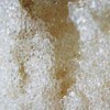 廠家直銷732陽(yáng)離子交換樹脂強(qiáng)酸性 醇酸樹脂