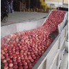 蔬菜清洗機(jī) 水果自動(dòng)清洗機(jī)
