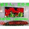 led顯示屏舞臺(tái)車、led顯示屏舞臺(tái)車廠家、led顯示屏舞臺(tái)車價(jià)格