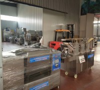 速凍水餃加工廠需要的全套生產機器設備 (13)