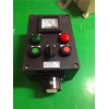 BZC8050-A2B1D2G水泵現(xiàn)場(chǎng)防爆防腐操作柱