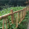 新農村建設用不銹鋼竹籬笆景觀園藝護欄庭院圍欄柵欄竹節(jié)護欄