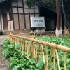 弘更不銹鋼竹節管 新農村 公園 街道草坪仿竹護欄 籬笆 圍欄 柵欄