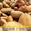 正宗駁岸石、純天然圍邊石頭、花壇花園點綴黃蠟石、小區草坪石
