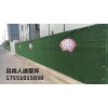 江蘇貝森人造草坪，圍擋草坪，裝飾草坪，園林草坪，幼兒園草坪，足球場草坪