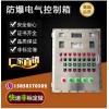 防爆綜合磁力啟動(dòng)器，霆榮電氣，廠家直銷