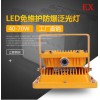 防爆配電箱，不銹鋼防爆配電箱廠家，非標(biāo)定制防爆配電箱