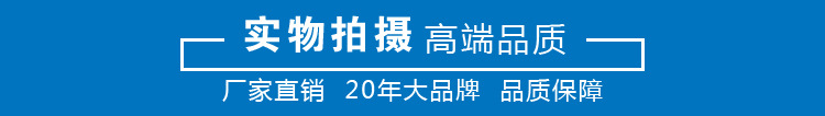 ry導熱油泵 導熱油泵廠家 批發導熱油循環泵示例圖10