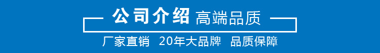 ry導熱油泵 導熱油泵廠家 批發導熱油循環泵示例圖17