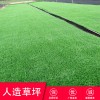 學校操場跑道草坪 塑料材質(zhì)綠色地毯人造草坪仿真綠植物墻室內(nèi) 草坪網(wǎng)圍擋