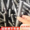 T型扣絲桿 鍍鋅絲桿 熱鍍鋅絲桿 8.8級發(fā)黑 加工定制 各種異型絲桿