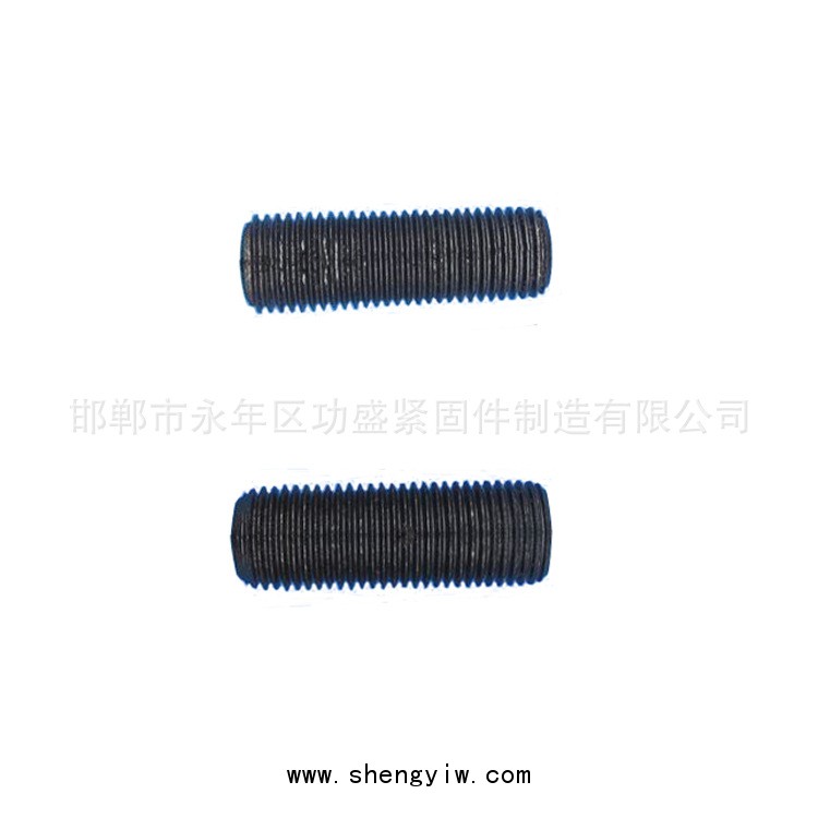 廠家直銷 m10高強(qiáng)度雙頭螺栓 碳鋼8.8級雙頭螺絲 貨源充足示例圖8