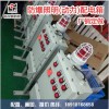 防爆配電箱具有過載 斷路保護(hù)功能防爆配電箱