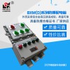 防爆箱訂制 新黎明防爆配電箱控制箱 防爆照明動(dòng)力配電箱 儀表箱
