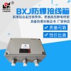 BJX防爆接線箱 防爆端子箱 防爆電箱 上海新黎明國(guó)標(biāo)廠家定做尺寸