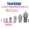 TLCF25-ZCV型動(dòng)態(tài)閥