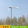 家用風力發(fā)電機 風光互補風力發(fā)電機全套設備 微風啟動的風力發(fā)電機